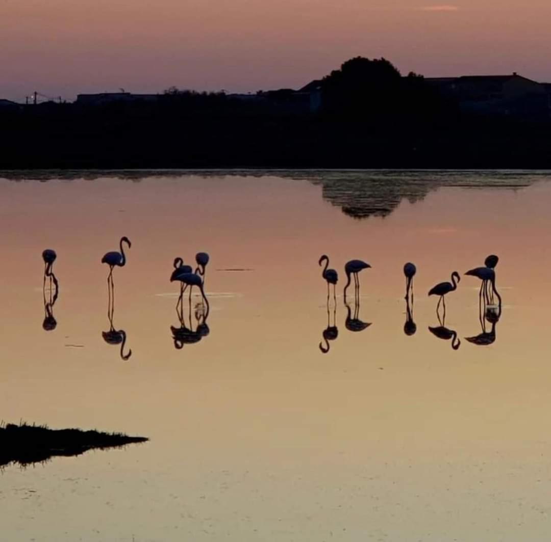 Appartamento Zen Gruissan Esterno foto