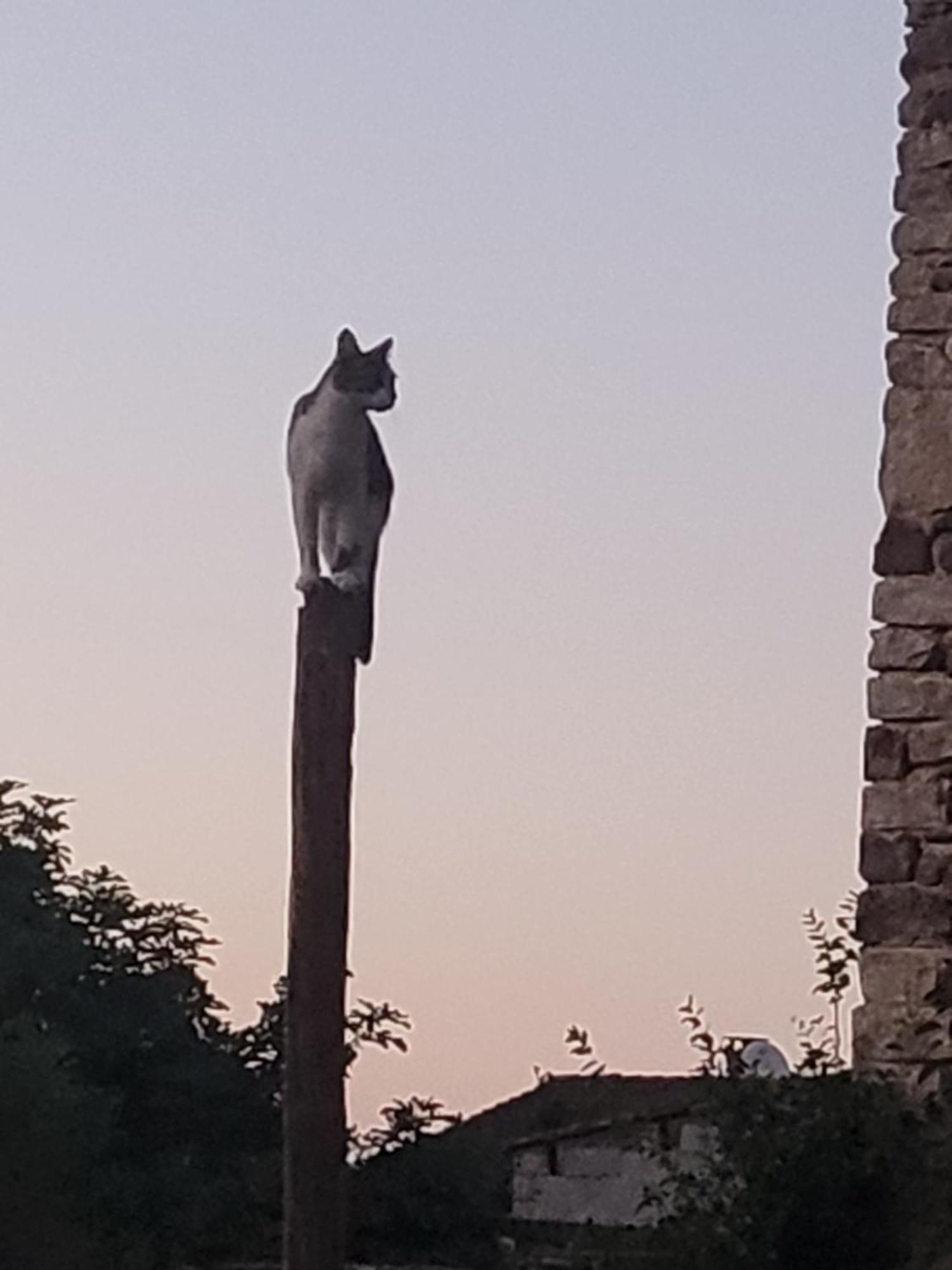 Appartamento Zen Gruissan Esterno foto